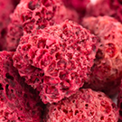 Himbeeren Himbeeren